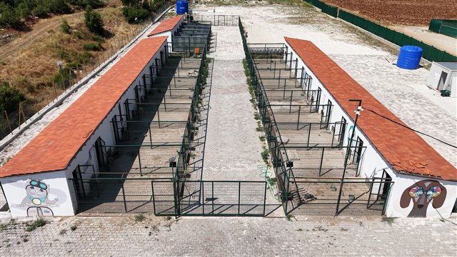 Ebru Başarır Sokak Hayvanları Bakım ve Rehabilitasyon Merkezi