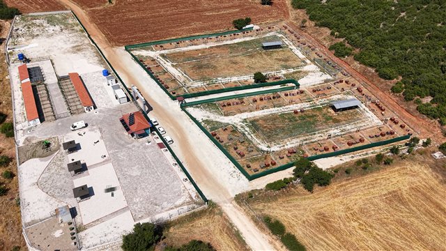 Ebru Başarır Sokak Hayvanları Bakım ve Rehabilitasyon Merkezi