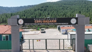 Ebru Başarır Sokak Hayvanları Bakım ve Rehabilitasyon Merkezi